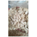 Chinese 2020 Hot crop High quality snow white pumpkin seeds